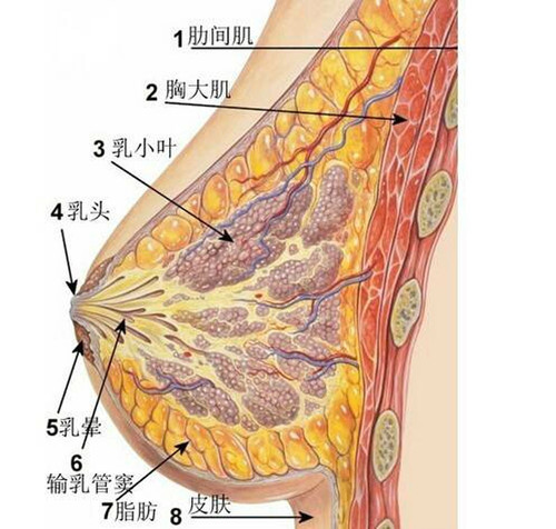 psb_副本.jpg